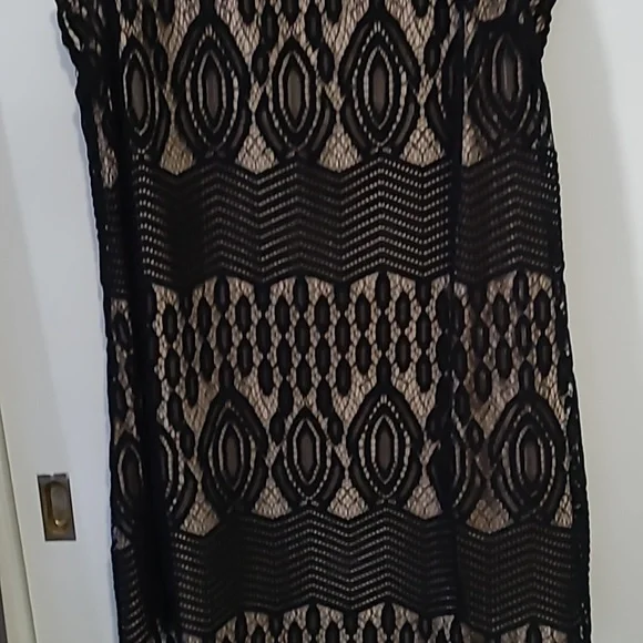 Sharagano Lace Dress 16W - Picture 3 of 12